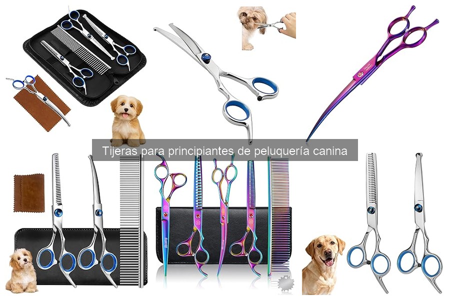 Cómo usar tijeras en grooming canino: guía para principiantes