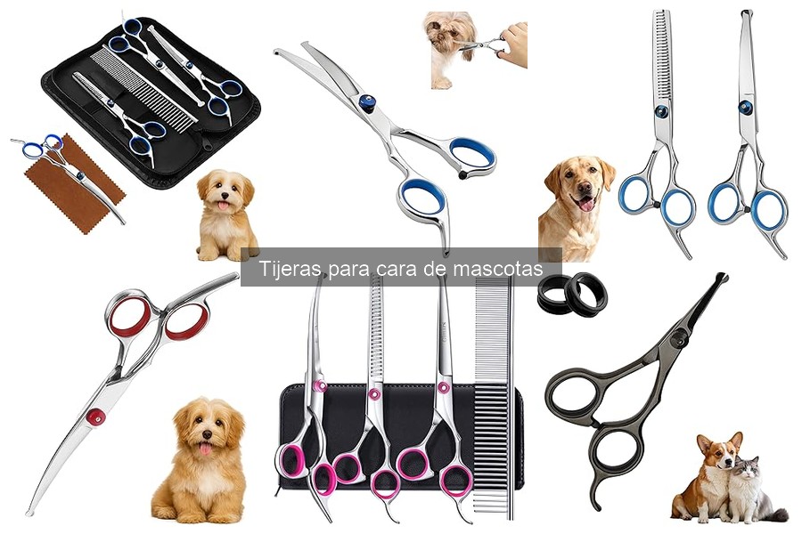 Cómo usar tijeras para cara de mascotas: Guía paso a paso