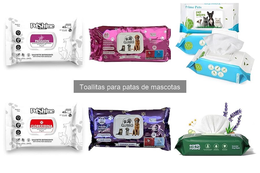 Cómo usar toallitas para patas de mascotas correctamente