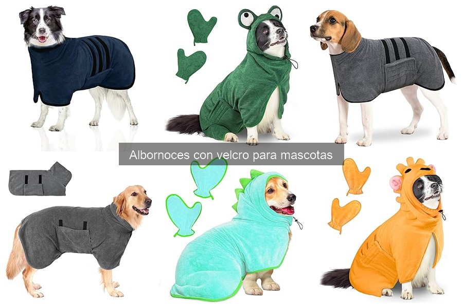 Cómo usar un albornoz con velcro para mascotas fácilmente