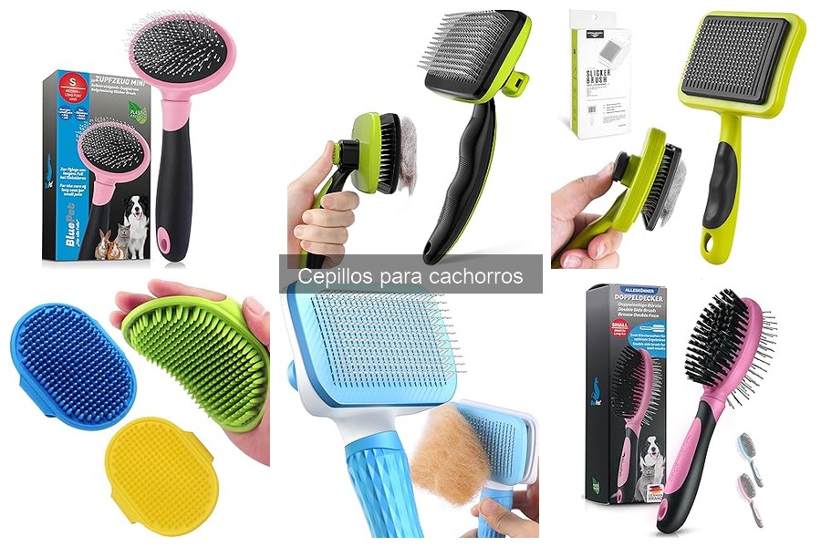 Cómo usar un cepillo en cachorros: consejos prácticos