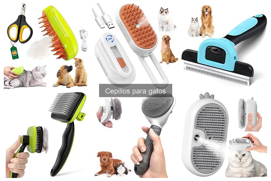 Cómo Usar un Cepillo para Gatos de Forma Efectiva