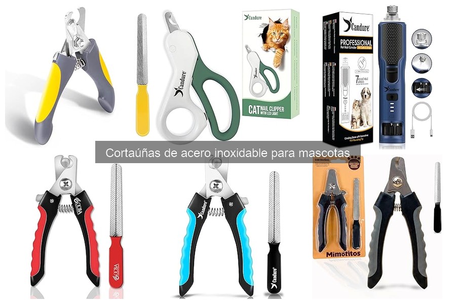 Cómo Usar un Cortaúñas de Acero Inoxidable para Mascotas