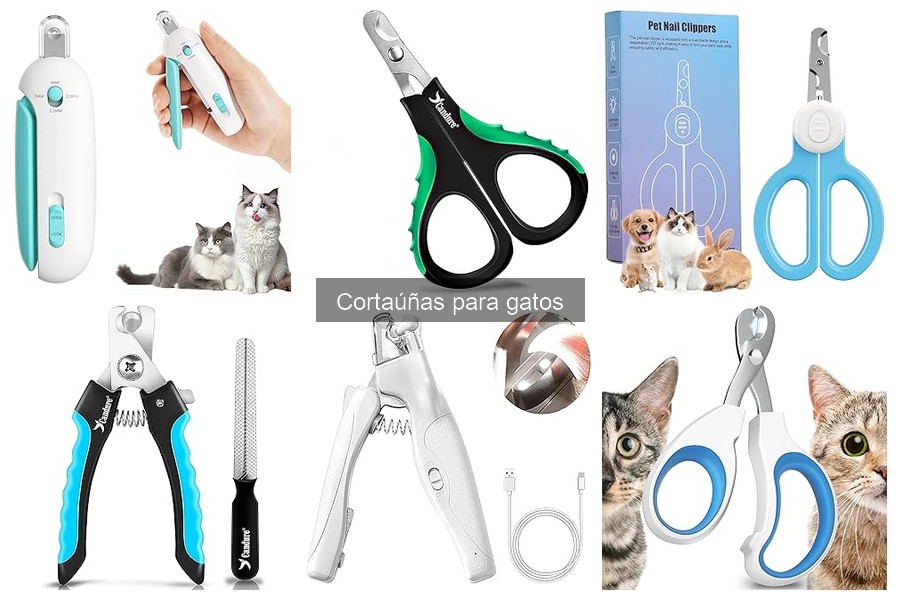 Cómo usar un cortaúñas para gatos sin lastimarlos