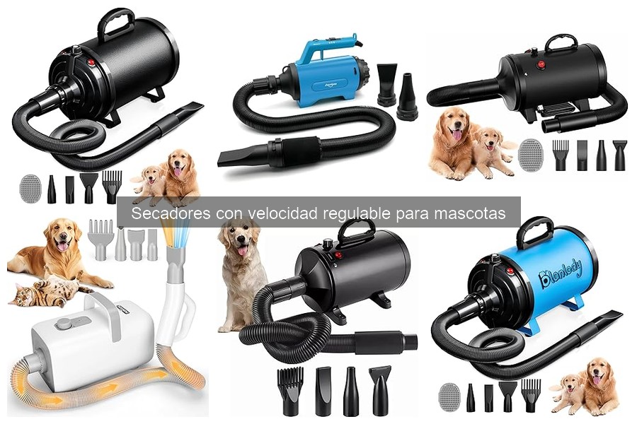 Cómo usar un secador de mascotas con velocidad regulable