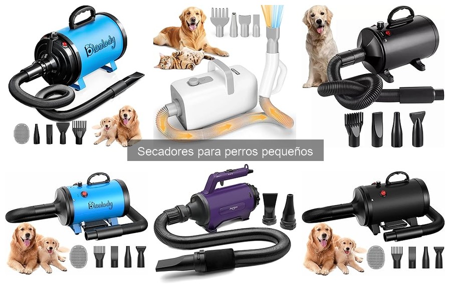 Cómo usar un secador para perros pequeños correctamente