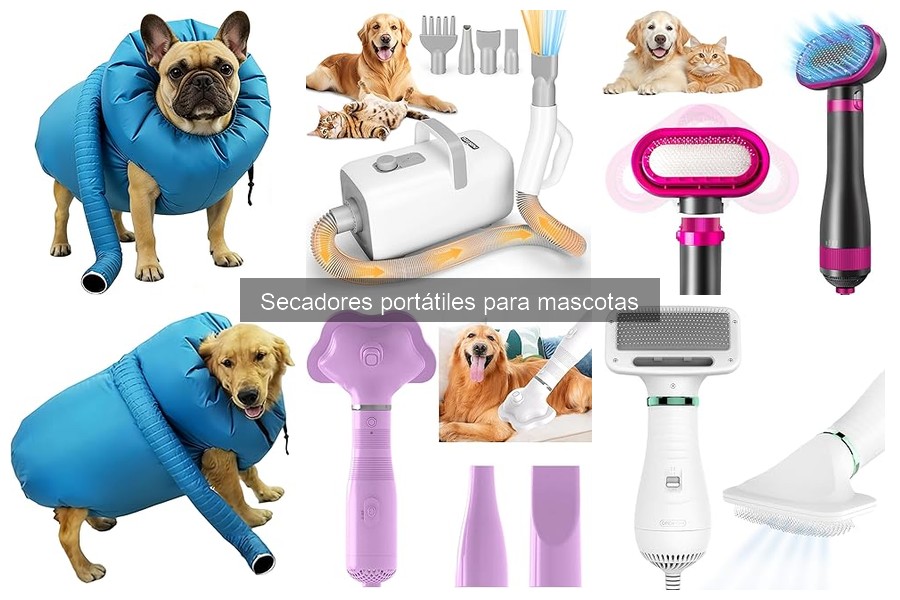 Cómo usar un secador portátil para mascotas en casa