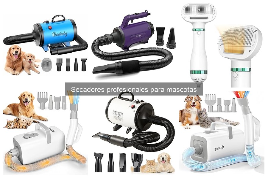 Cómo usar un secador profesional para mascotas de forma segura
