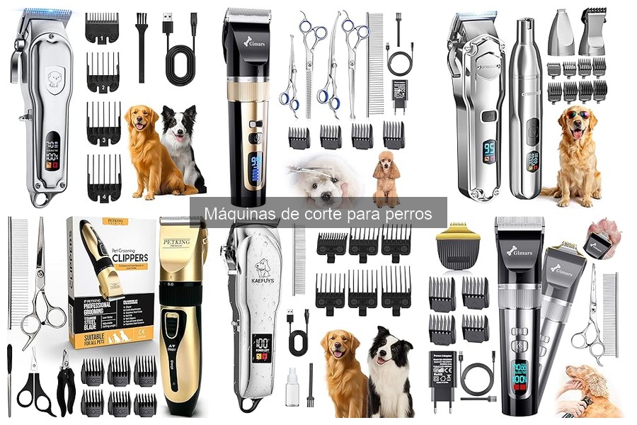 Cómo Usar una Máquina de Corte para Perros de Forma Efectiva