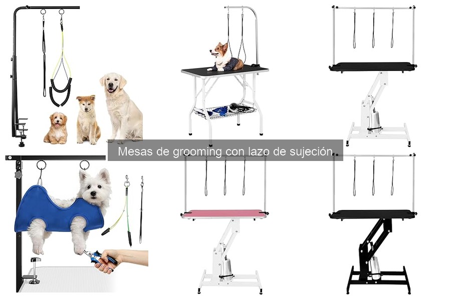 Cómo usar una mesa de grooming con lazo de sujeción