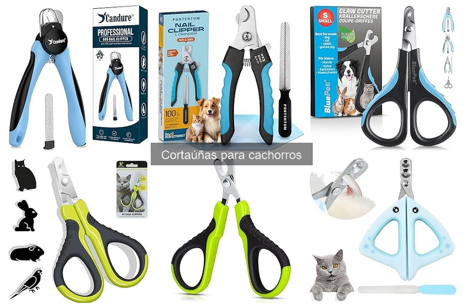 Cómo utilizar correctamente un cortaúñas para cachorros