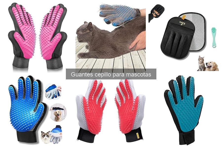 Cómo utilizar guantes cepillo para mascotas de forma efectiva