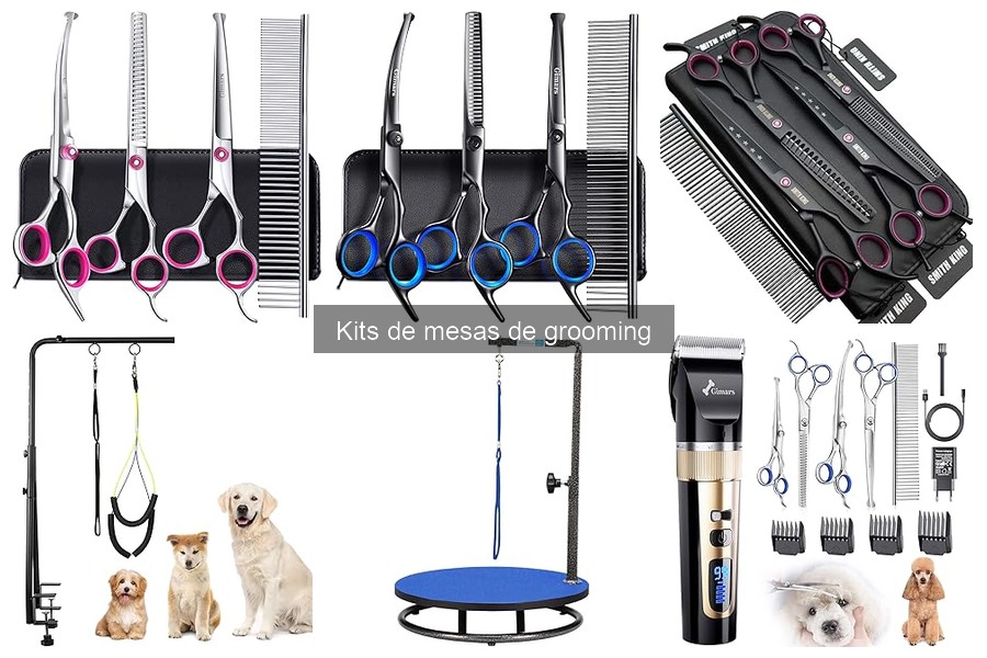 ** Cómo utilizar un kit de mesa de grooming para mascotas