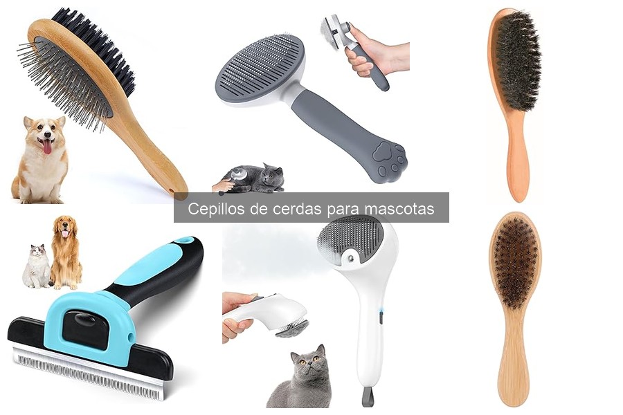 Comparativa: Cepillos de Cerdas vs. Cepillos de Goma para Mascotas
