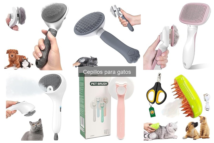 Comparativa: Cepillos eléctricos vs Manuales para gatos