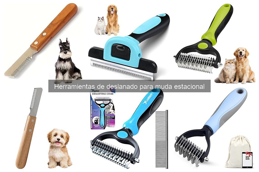 Comparativa: Cepillos vs Rastrillos de Deslanado para Mascotas