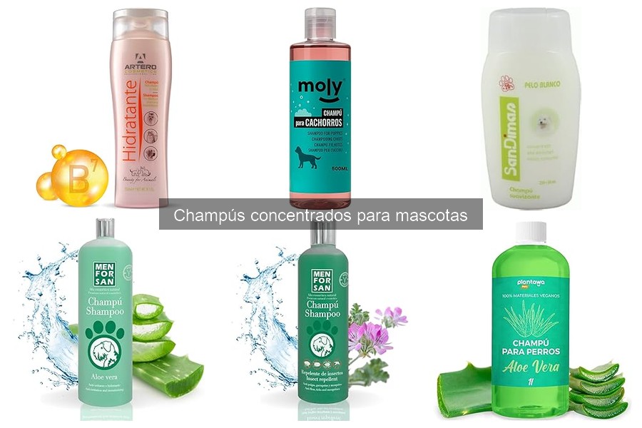 Comparativa: Champús Concentrados vs. Normales para Mascotas