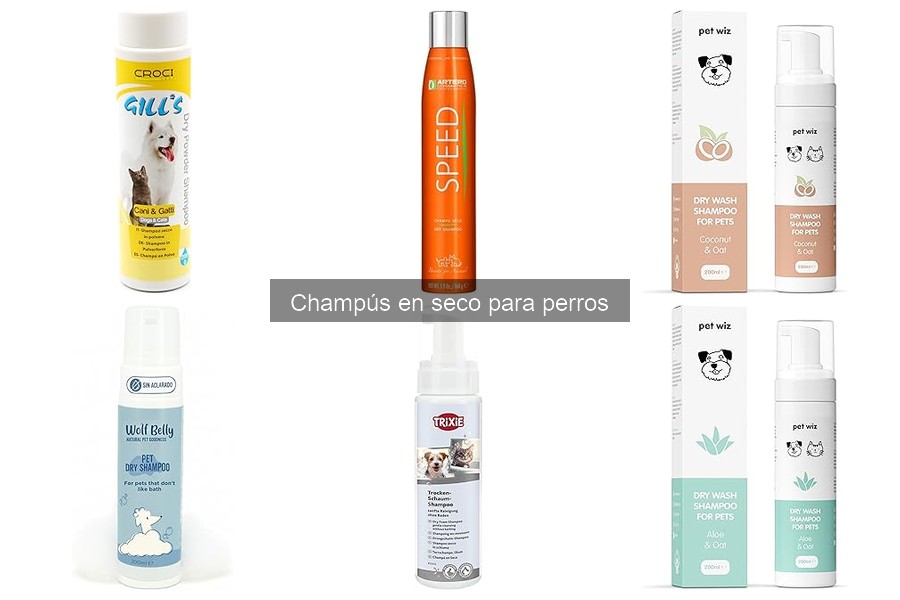 Comparativa: Champús en Seco vs Tradicionales para Perros