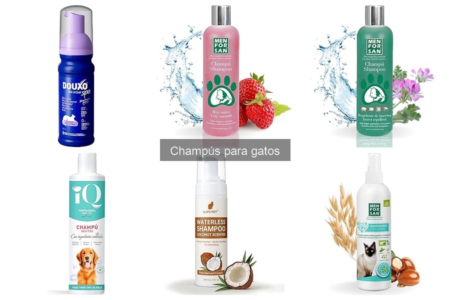 Comparativa: Champús para gatos sensibles vs. normales