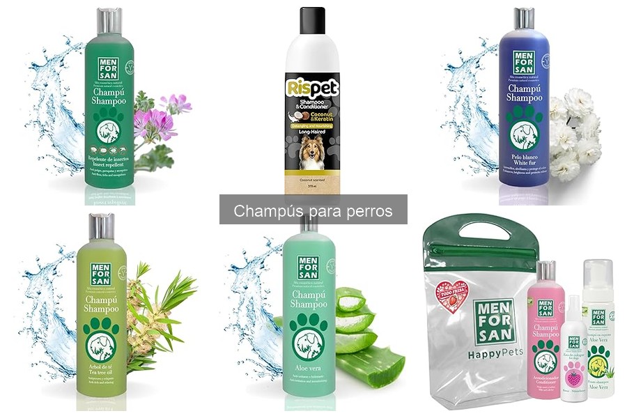 Comparativa de champús ecológicos para perros: lo mejor del cuidado