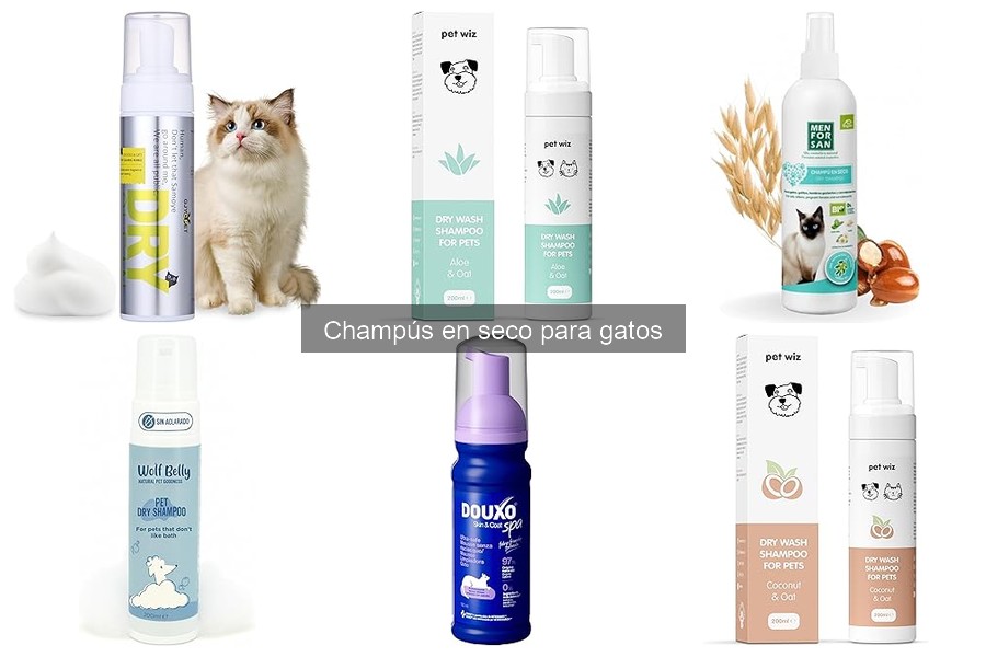 Comparativa de Champús en Seco para Gatos: Mejores Marcas