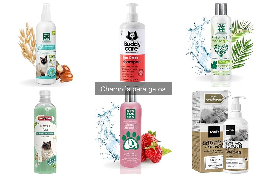 Comparativa de champús hipoalergénicos para gatos