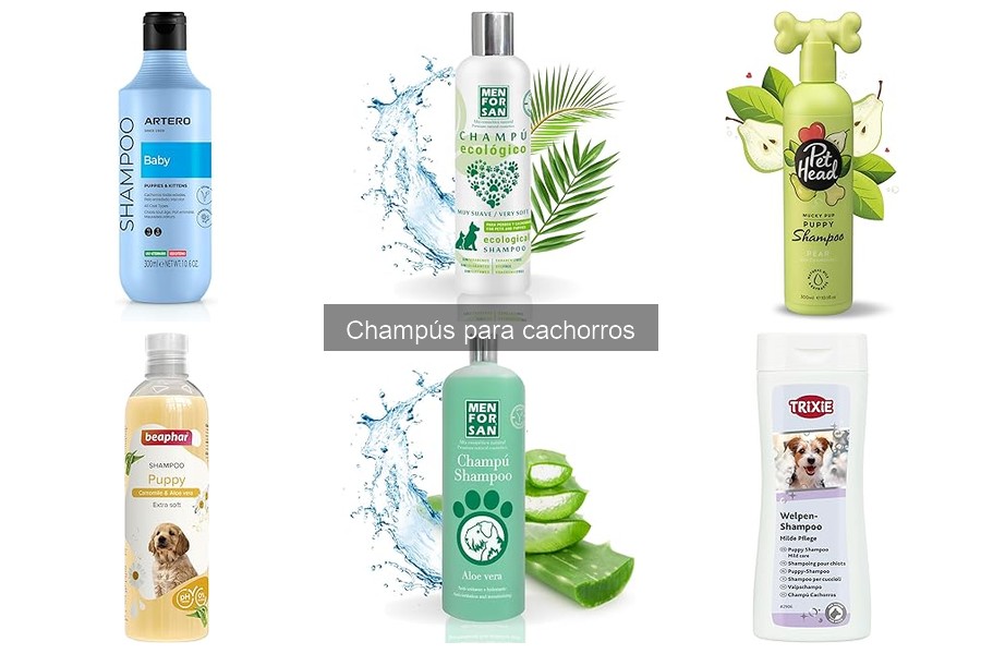 Comparativa de Champús para Cachorros: Mejores Marcas del Mercado