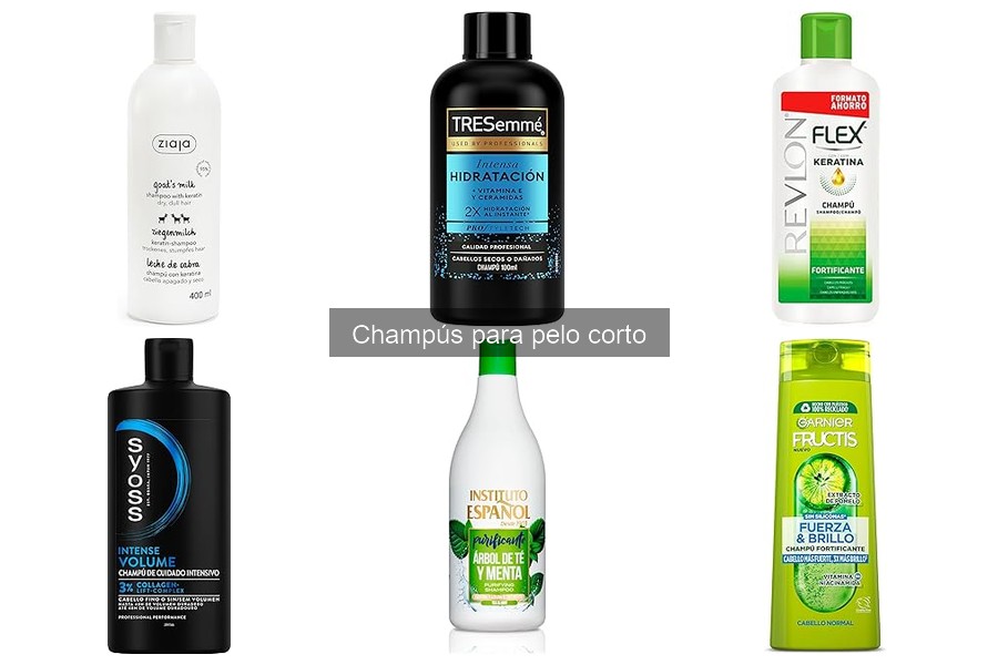 Comparativa de champús para pelo corto en Amazon