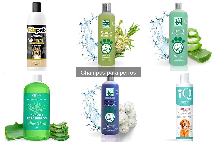 Comparativa de Champús para Perros con Piel Sensible