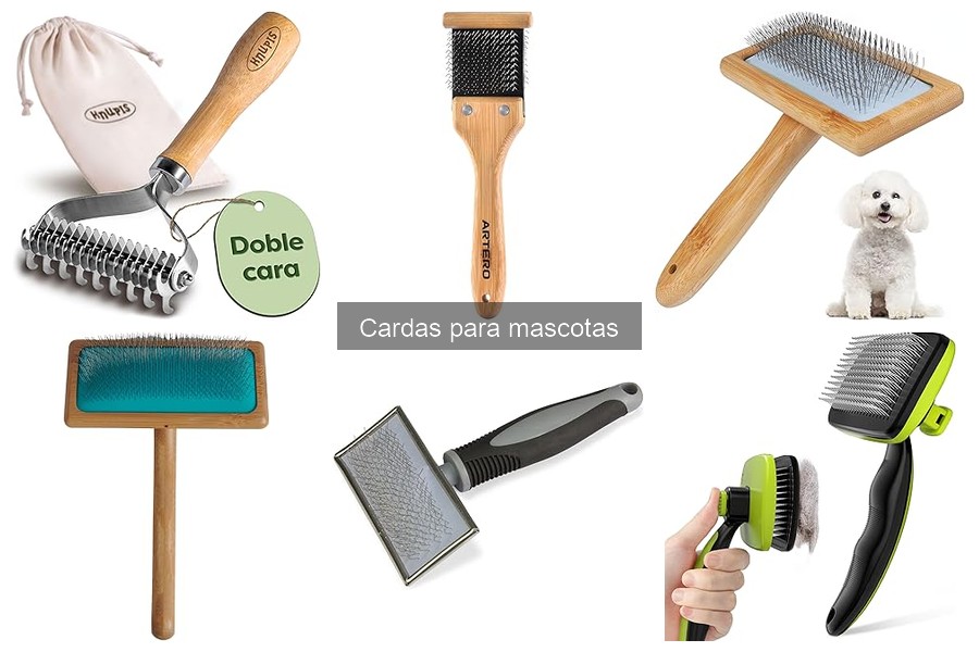 Comparativa de las mejores cardas para mascotas en 2023