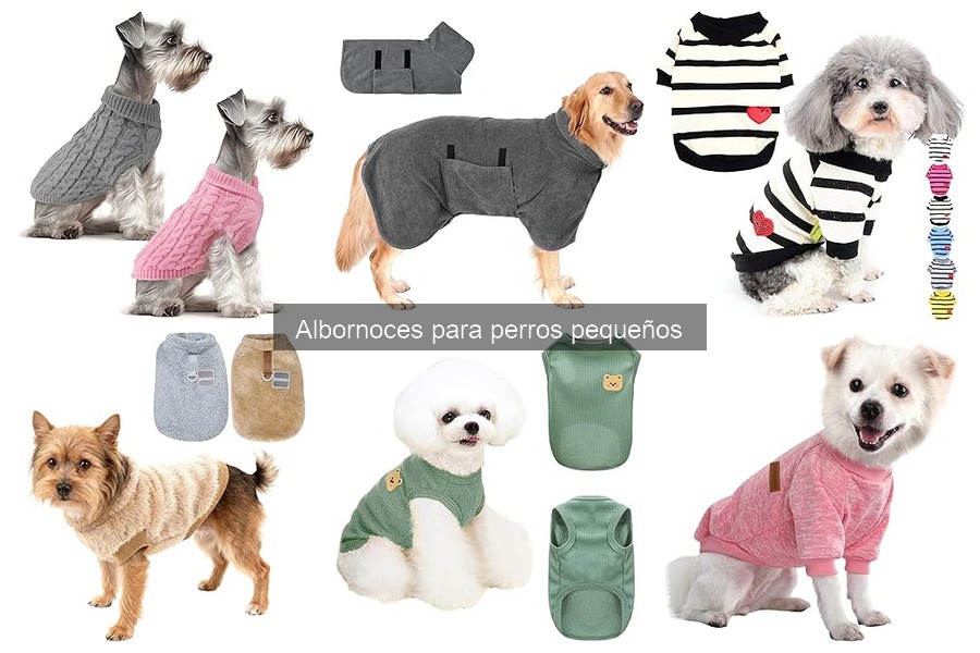 Comparativa de materiales en albornoces para perros pequeños