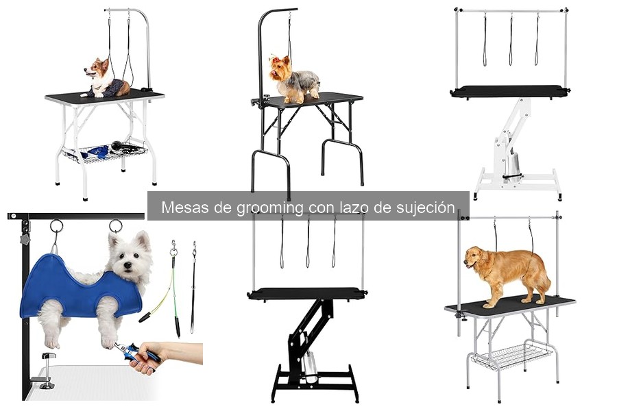 Comparativa de Mesas de Grooming con Lazo de Sujeción
