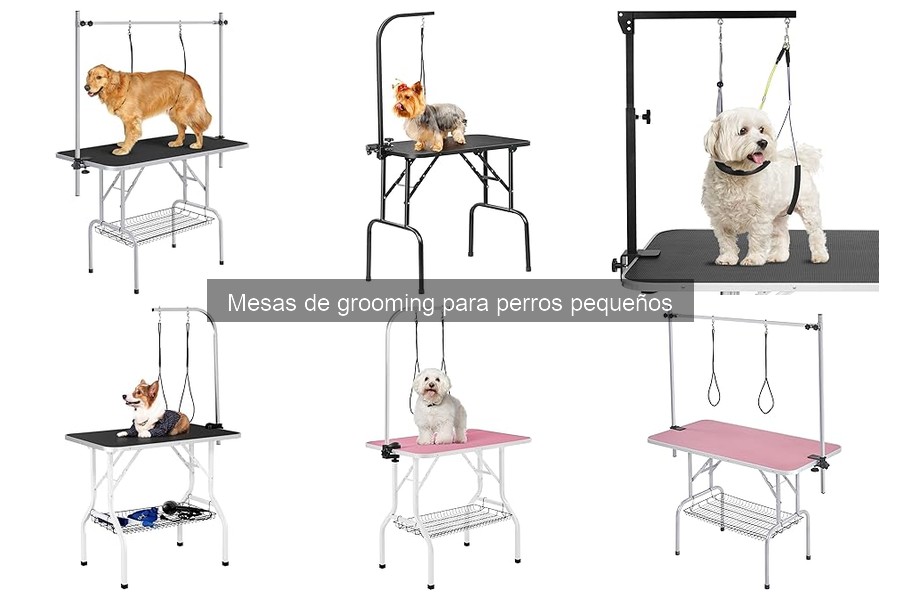 Comparativa de Mesas de Grooming para Perros Pequeños