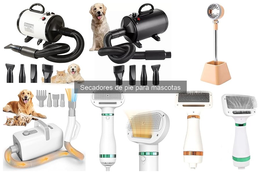 Comparativa de secadores de pie para mascotas: opiniones y opiniones