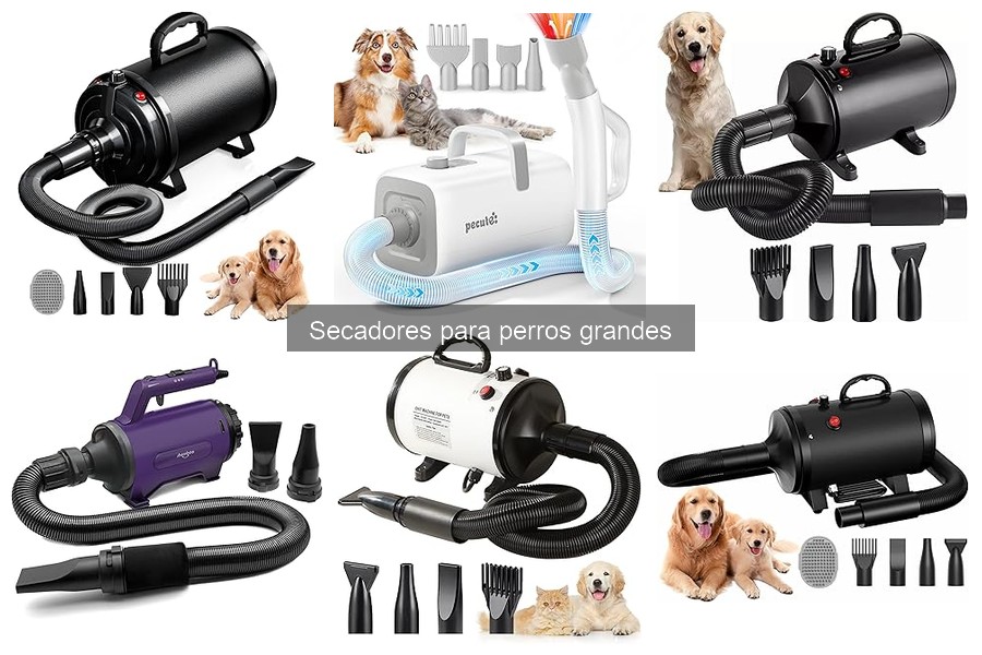 Comparativa de Secadores para Perros Grandes: Marcas y Modelos