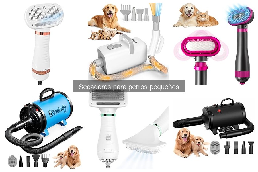 Comparativa de Secadores para Perros Pequeños y Grandes