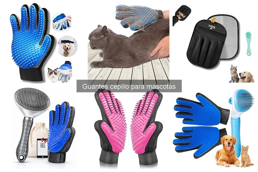 Comparativa: Guantes cepillo vs Cepillos tradicionales para mascotas