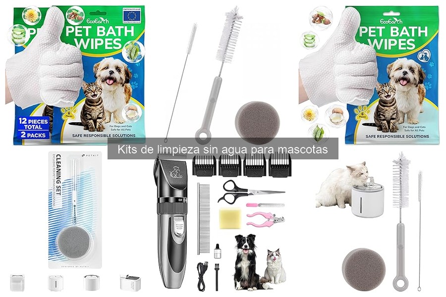 Comparativa: Kits de limpieza sin agua vs productos tradicionales