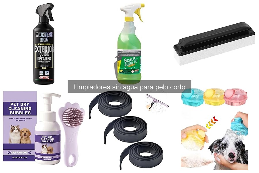 Comparativa: Limpiadores sin Agua vs Productos Tradicionales