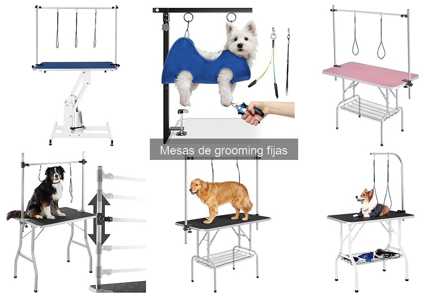 Comparativa: Mesas de grooming fijas vs. portátiles