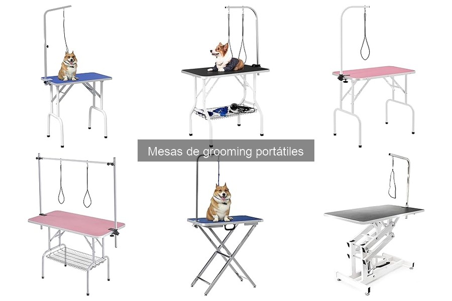 Comparativa: Mesas de Grooming Portátiles vs Fijas