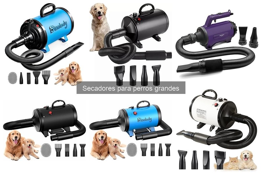 Comparativa secadores aire caliente vs frío para perros