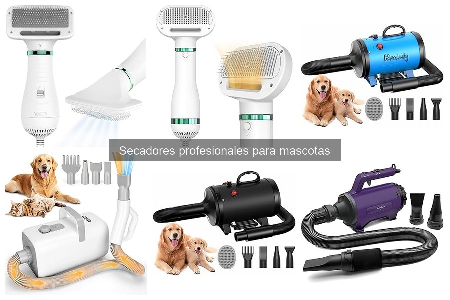 Comparativa: Secadores de aire caliente vs. aire frío para mascotas