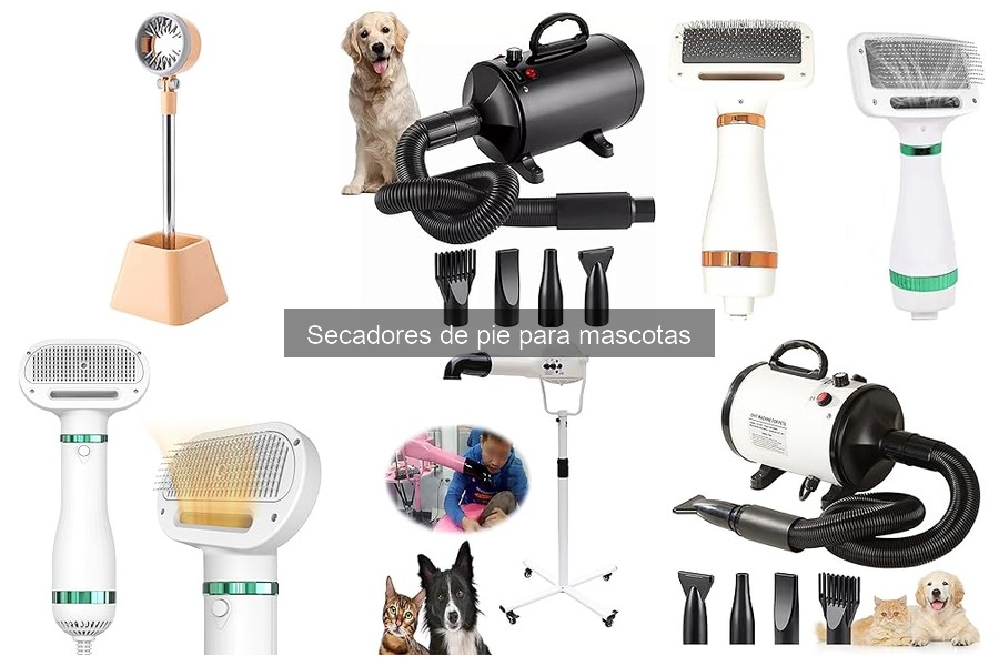 Comparativa: Secadores de Pie vs. Secadores de Mano para Mascotas
