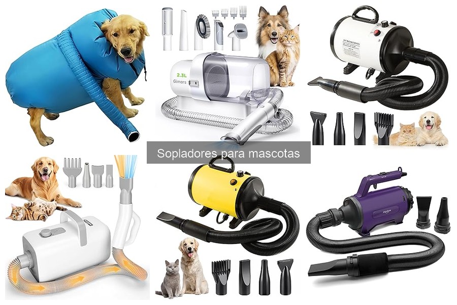 Comparativa: Sopladores vs Secadores para Mascotas