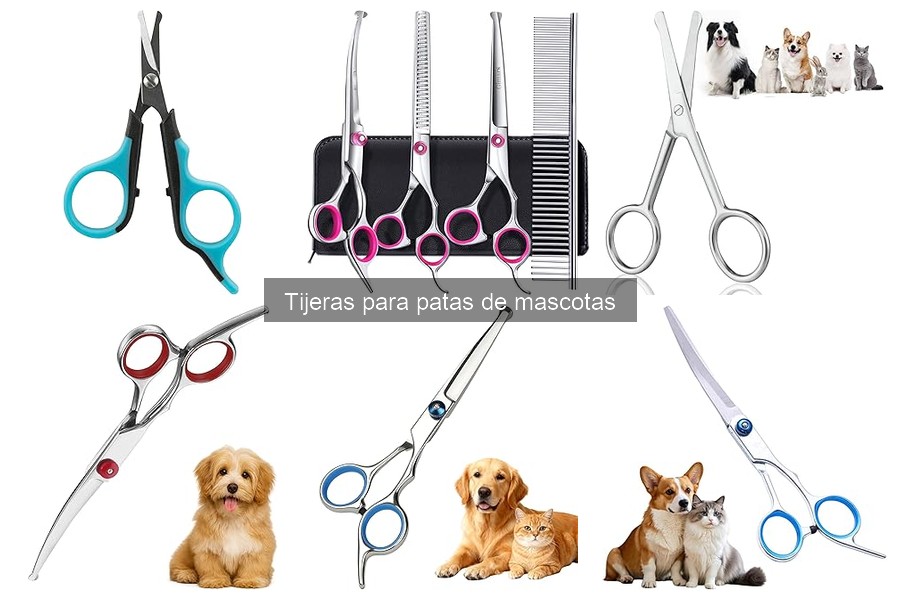 Comparativa: Tijeras Tradicionales vs Especiales para Mascotas
