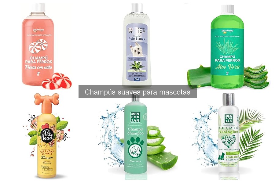 Compra champús suaves para mascotas a buen precio aquí