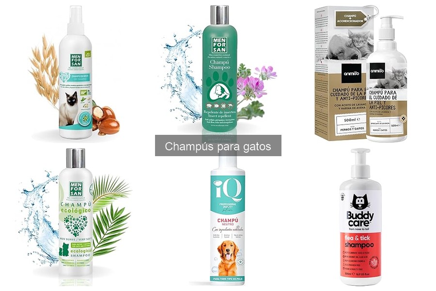 Compra online champús para gatos: las mejores tiendas y ofertas