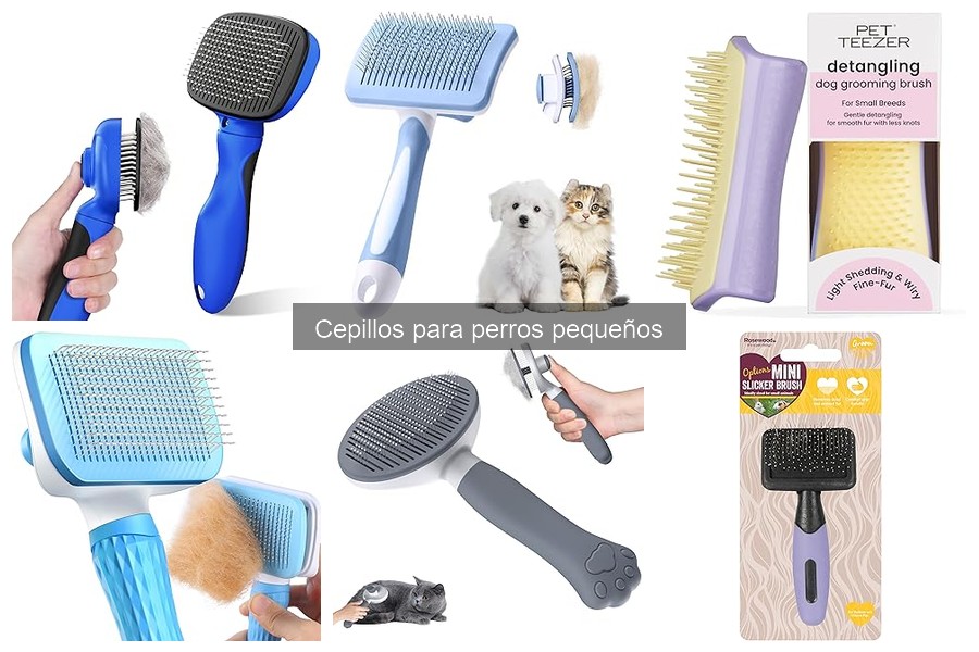 Comprar cepillos para perros pequeños online: Mejores opciones