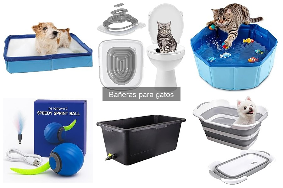 Compras inteligentes: bañeras para gatos a buen precio